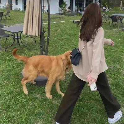 无辜的七个